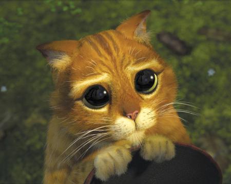 MINOU